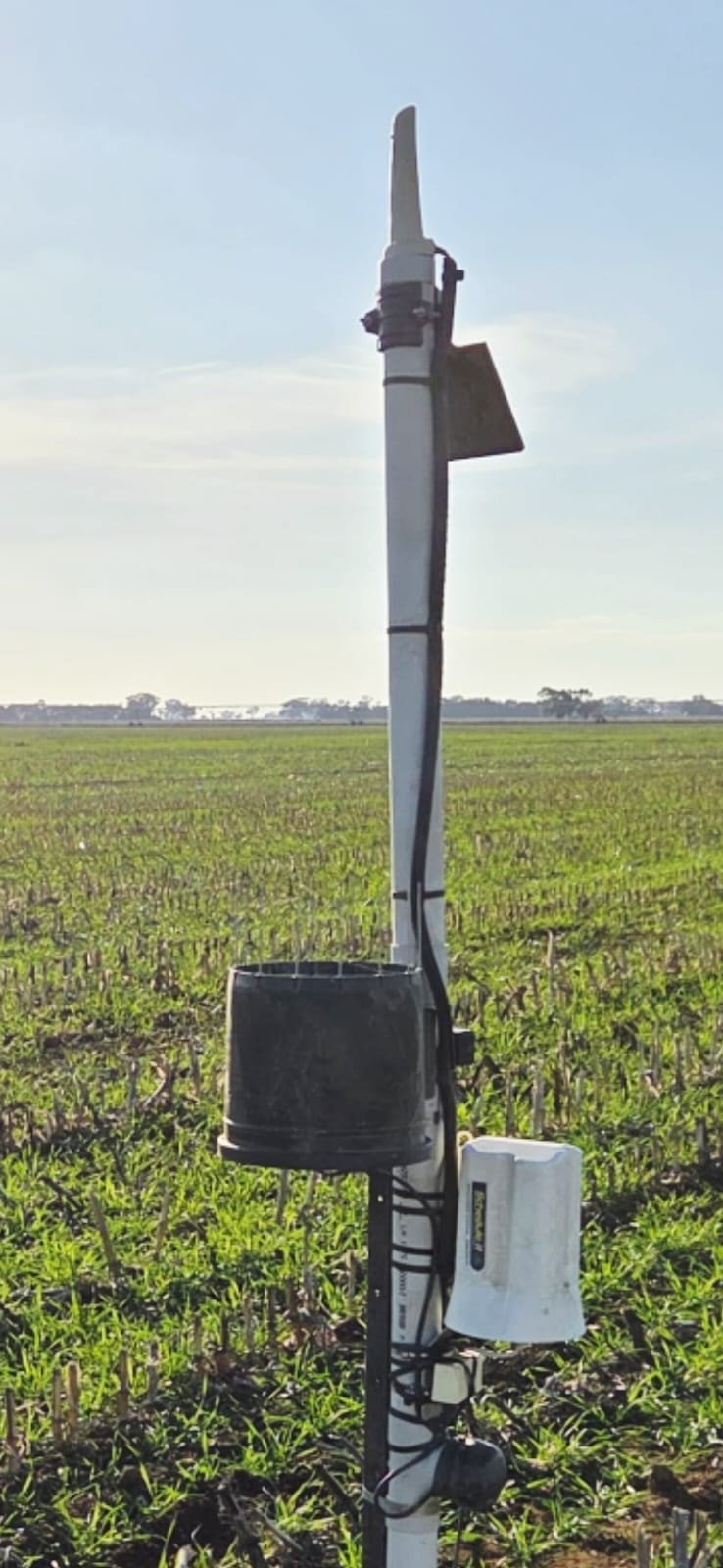 SMART Rain Bucket
